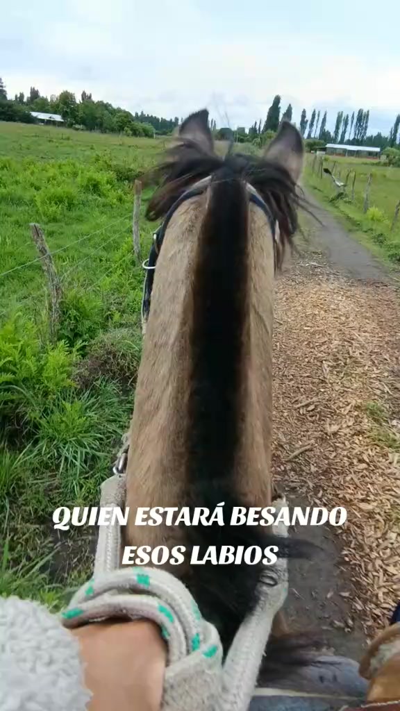 @Cristobal🍀