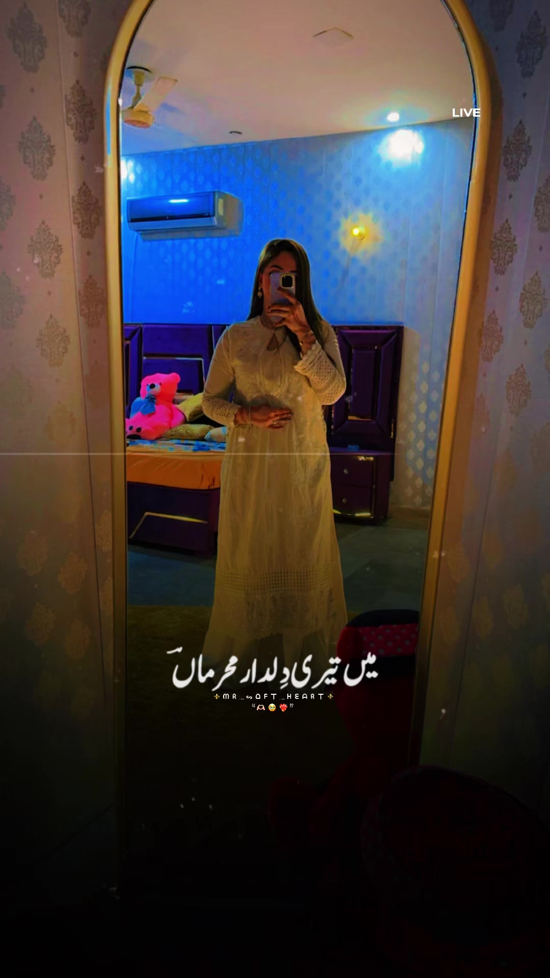 @Hooria Khan 🕊