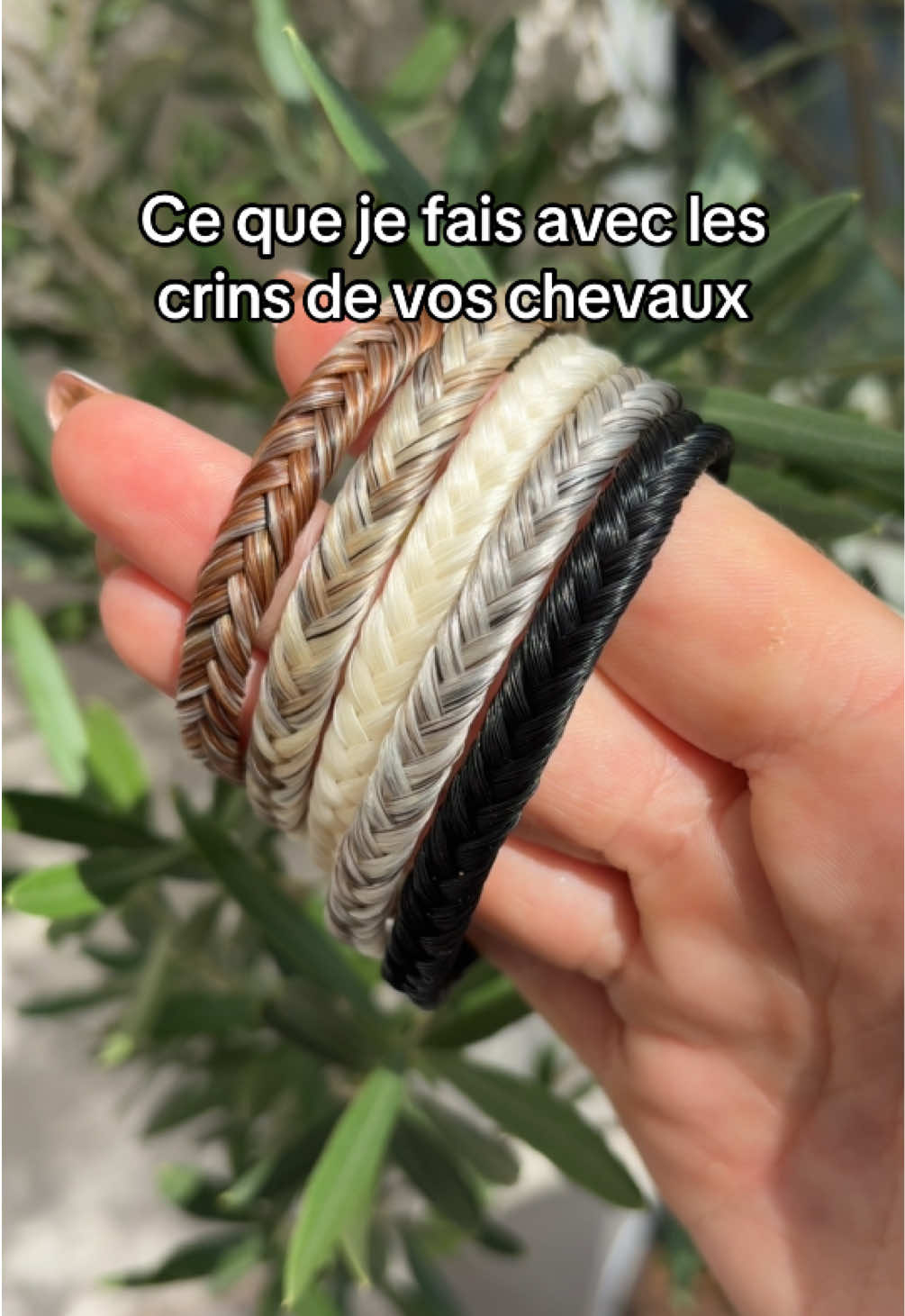 @Autour du Cheval