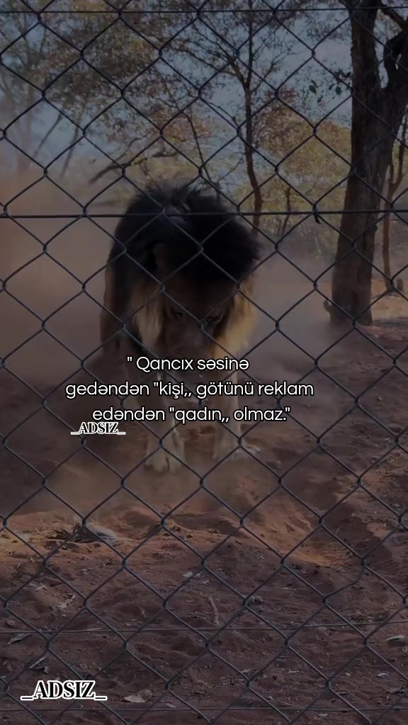 @_ADSIZ_