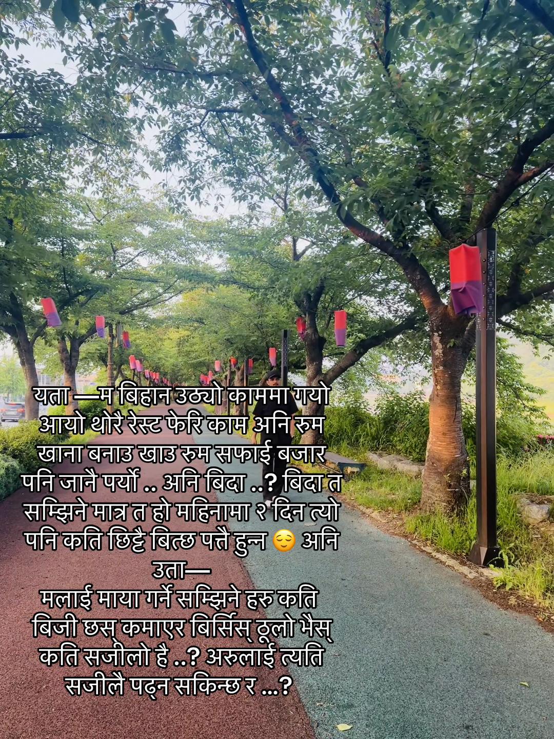 @Sus Eel🇳🇵🇰🇷(수실)