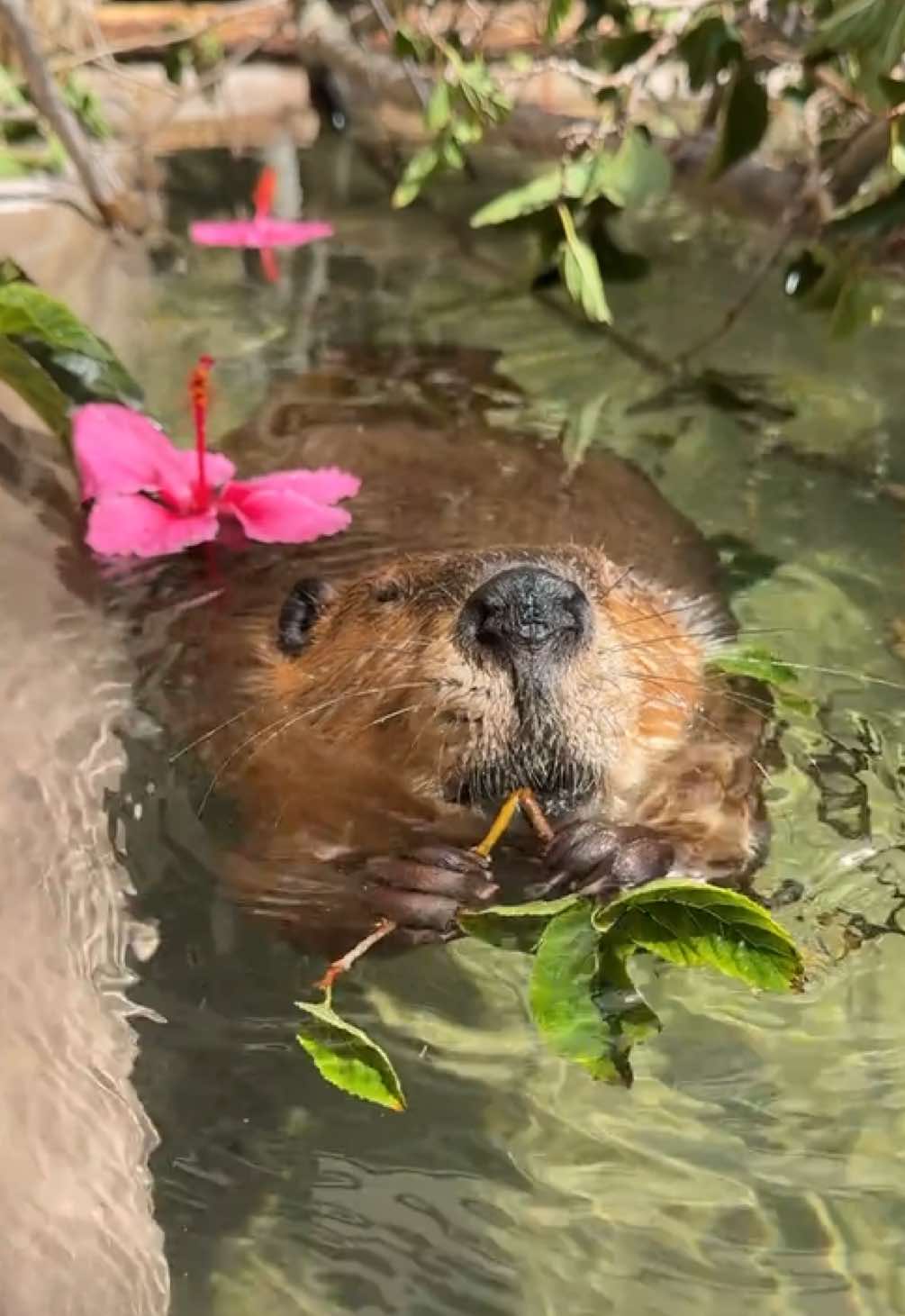 @San Diego Zoo