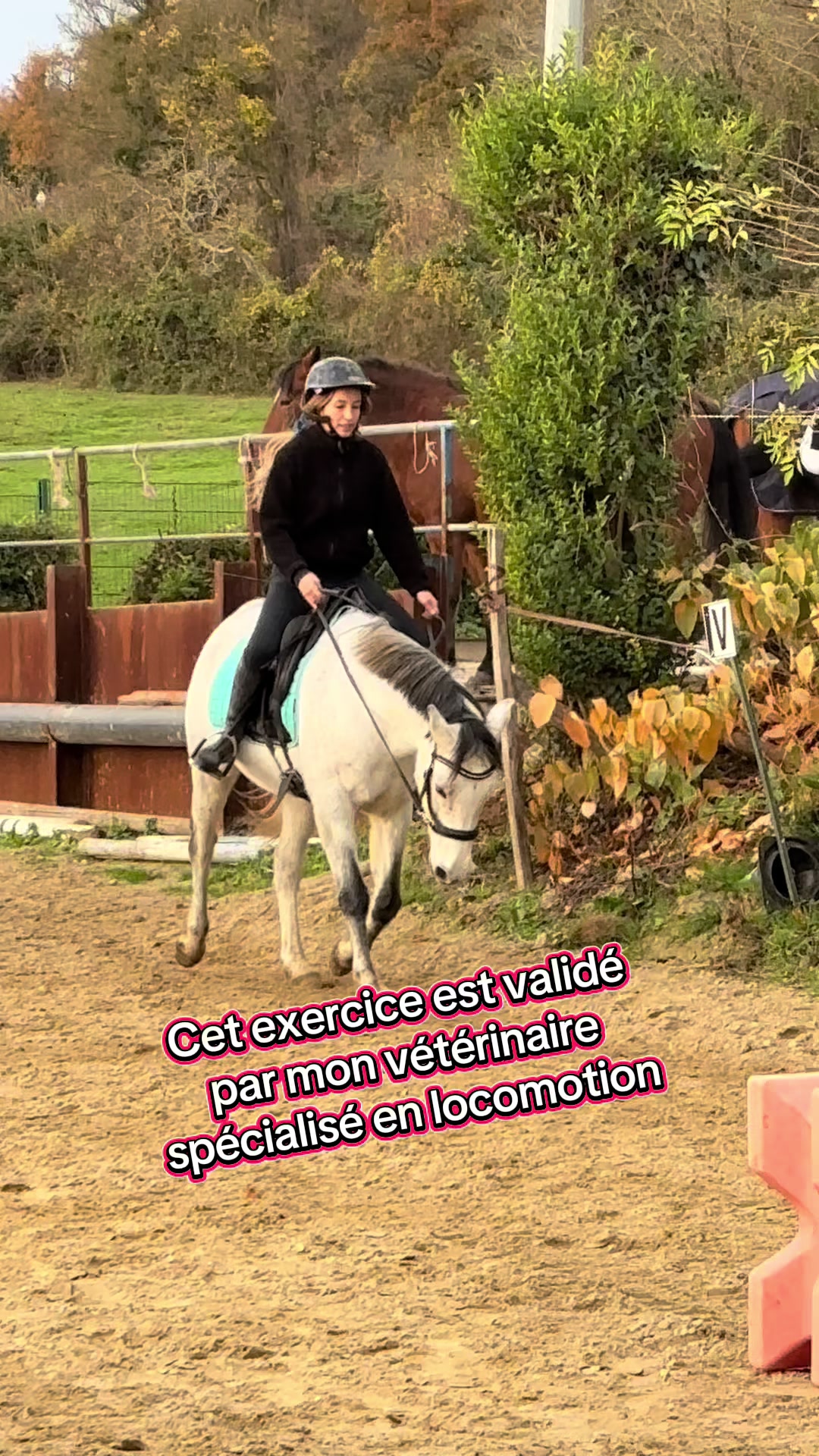 @Réflexions Equestres