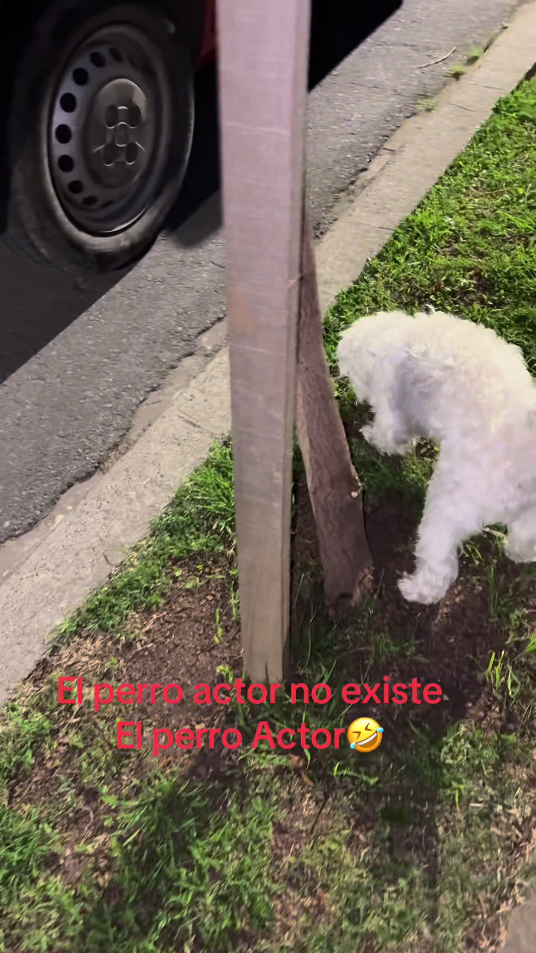 @Pod&oacute;logia Nordelta
