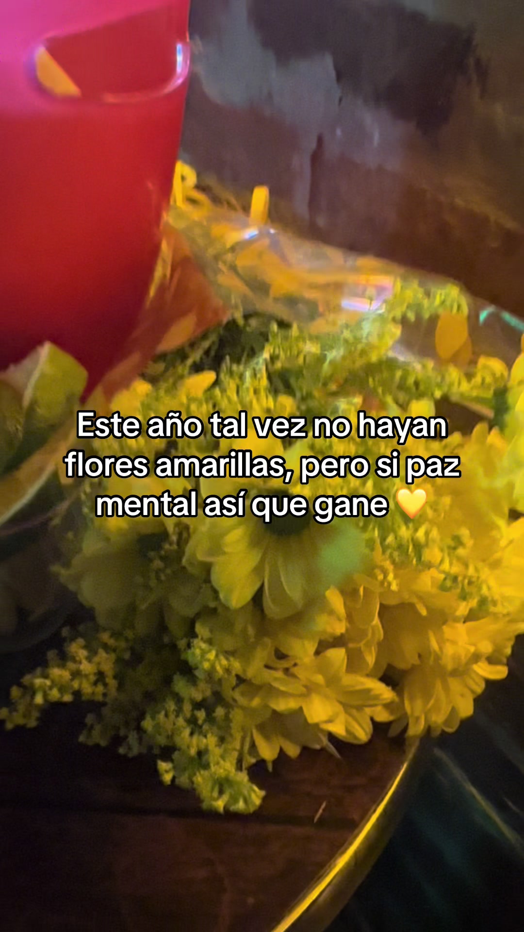 @Yess Bohorquez