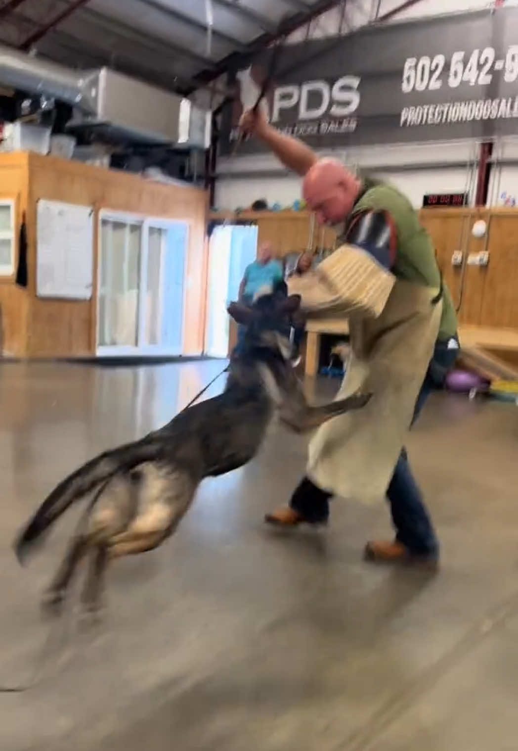 @Protection Dog Sales