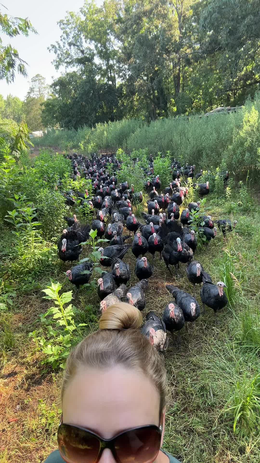 @farmerandtheharpiist