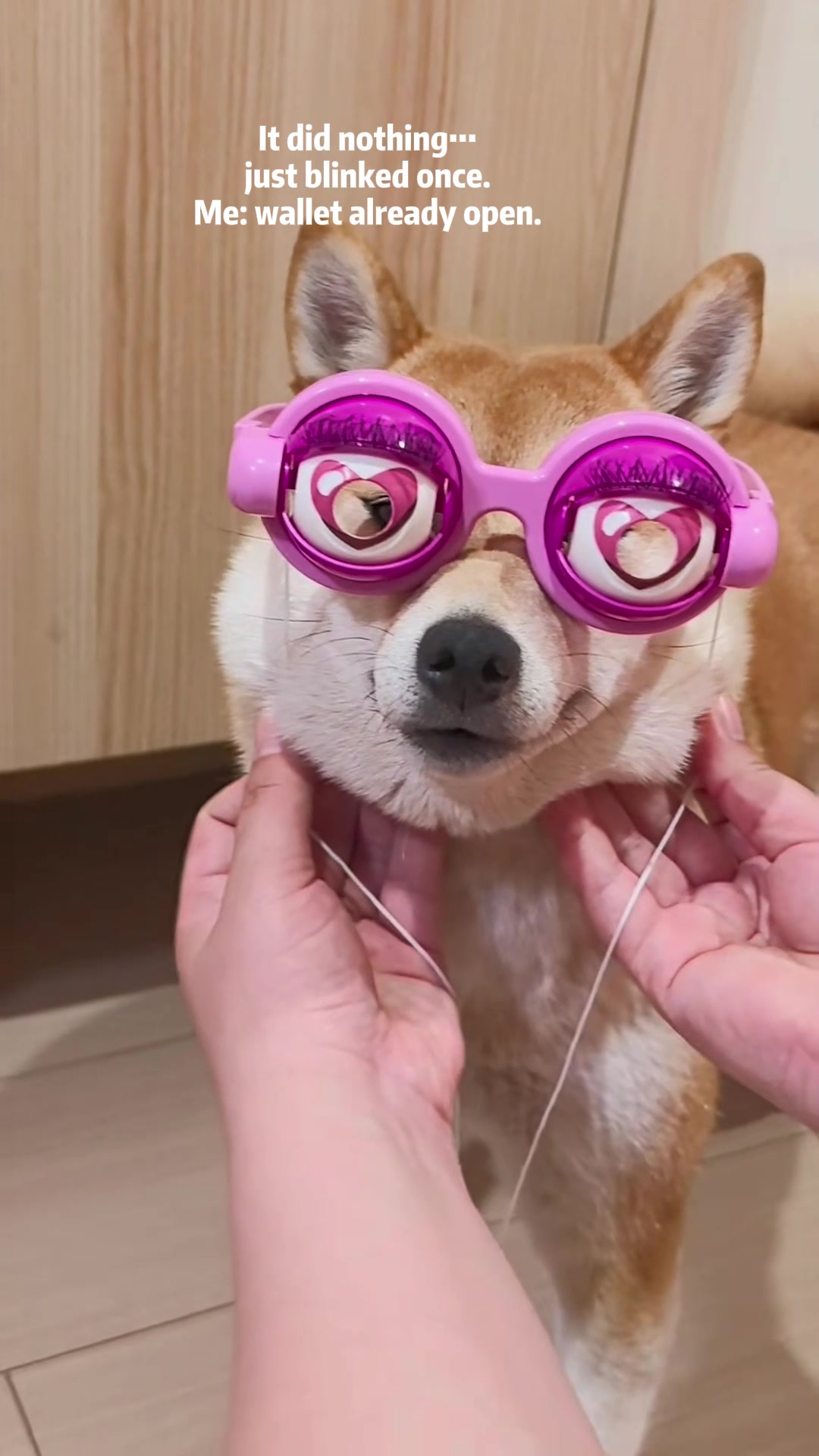 @MoewaiiCat