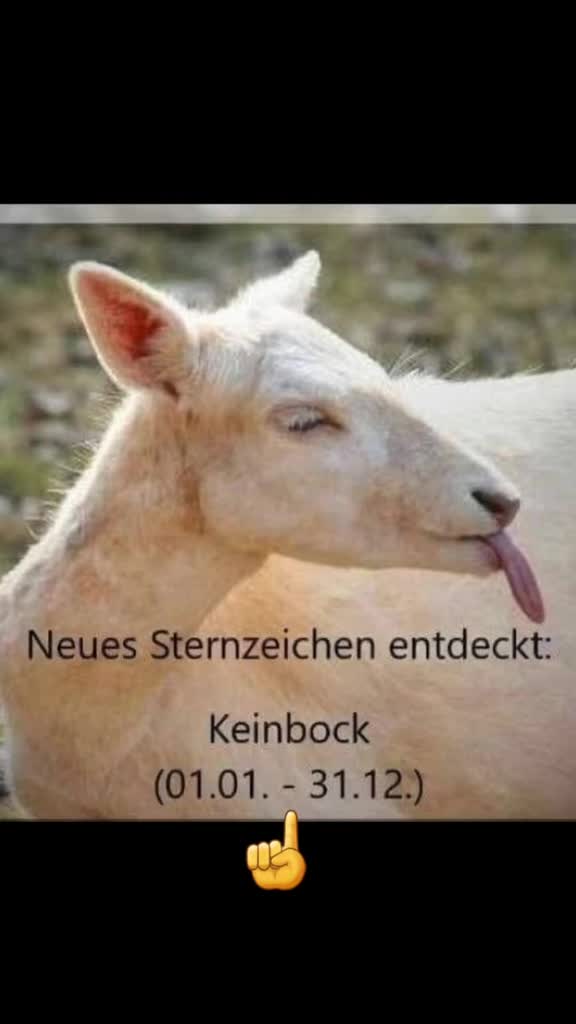 @Muffin und Fee🇩🇪