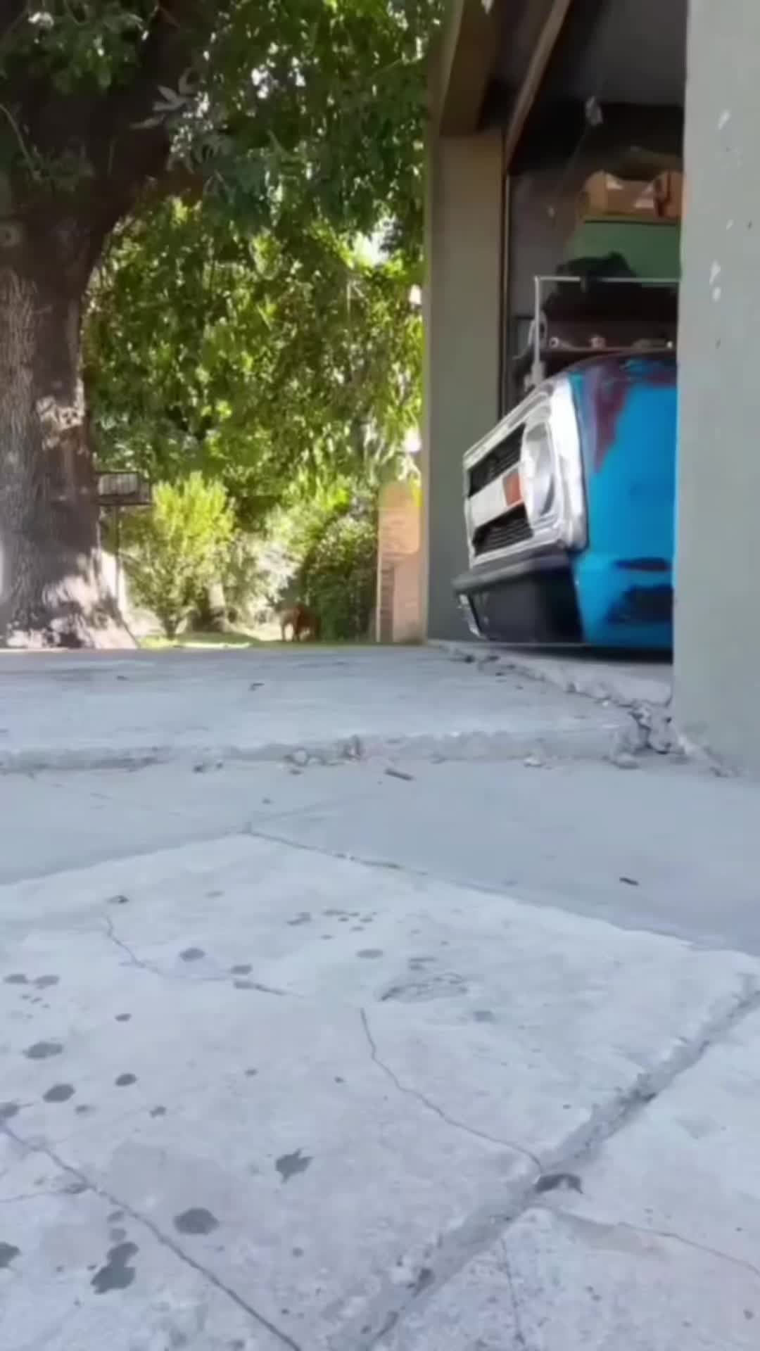 @murdacustoms