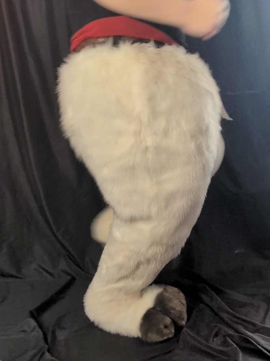 @GnollPatrol