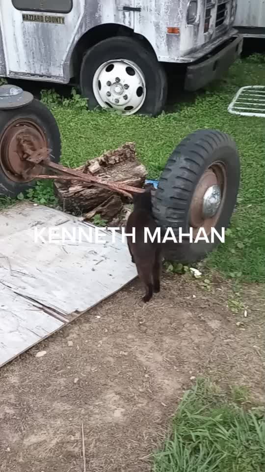 @kennethmahan822
