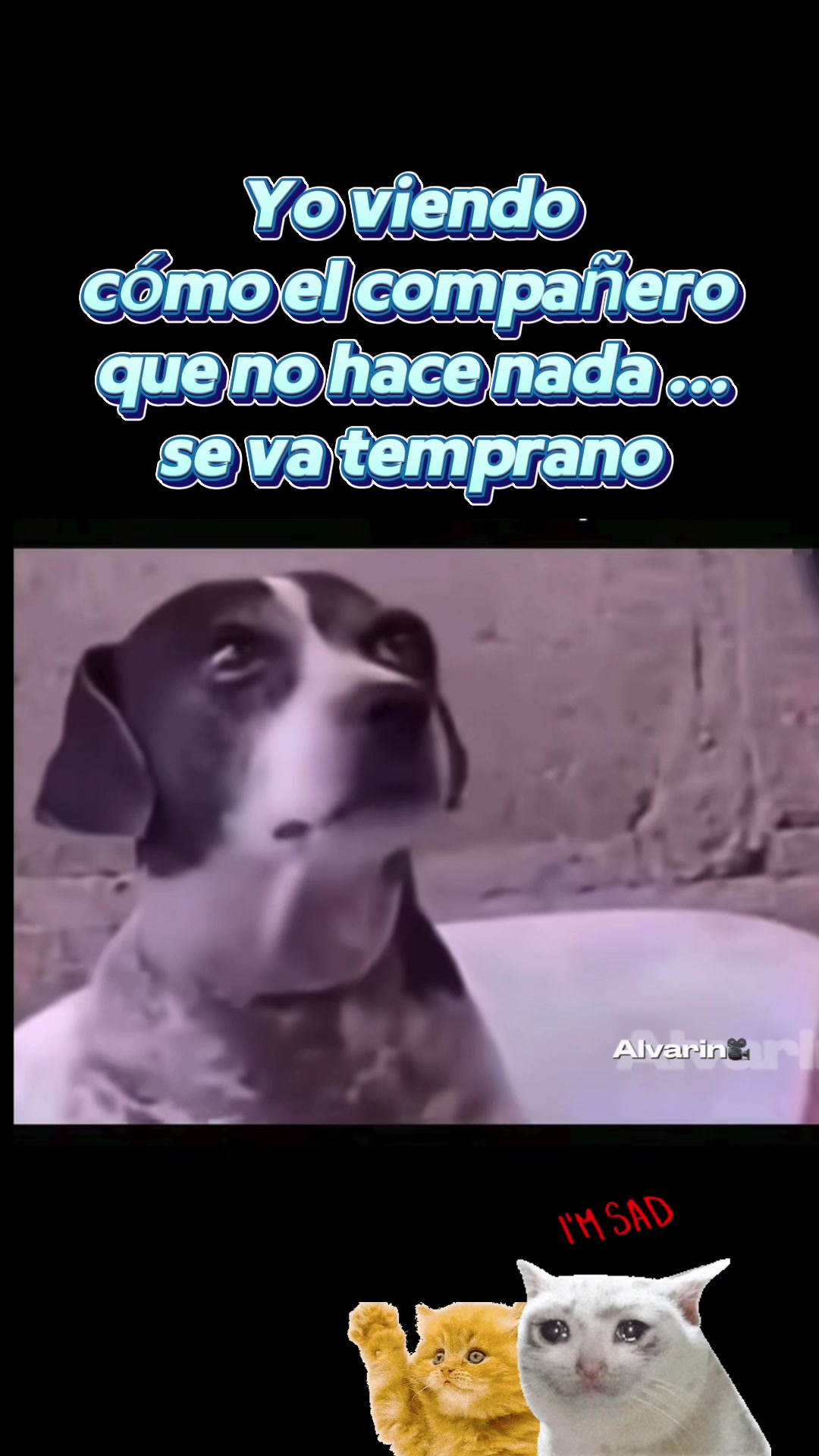 @Alvarin