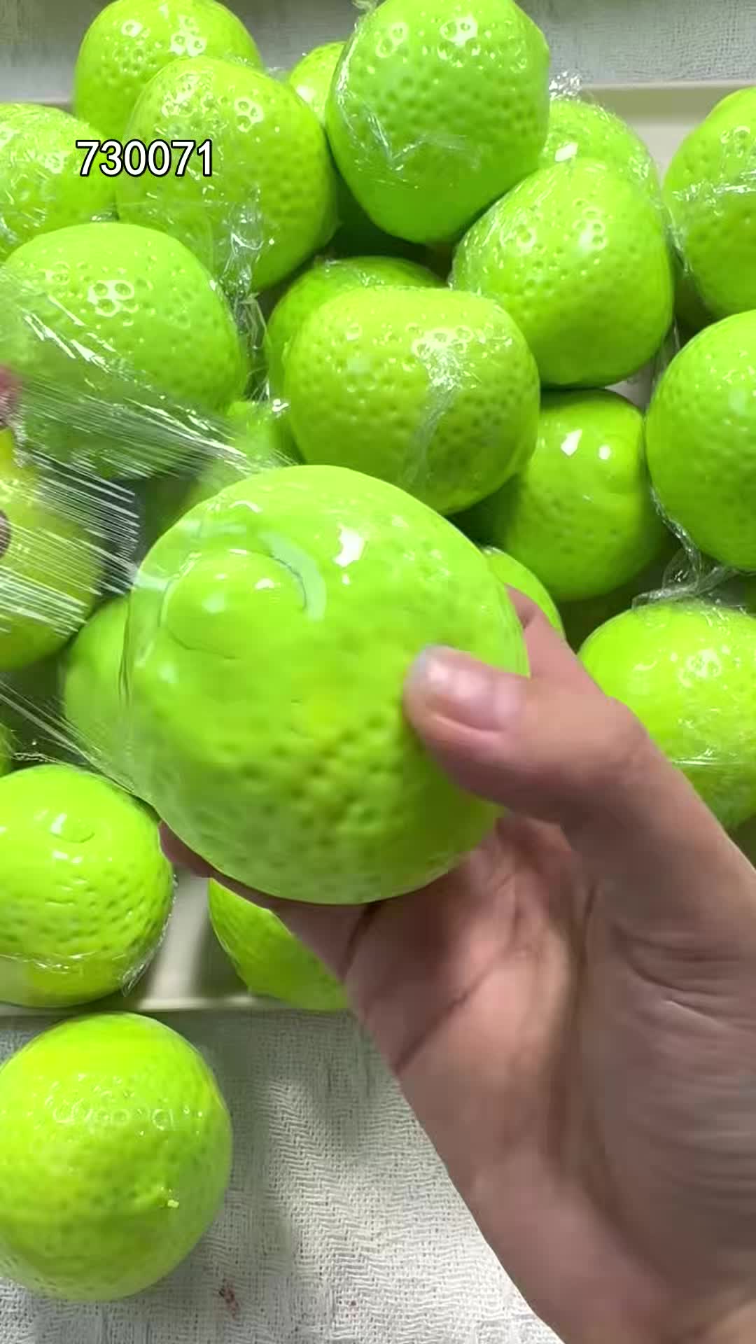 @pjtqbc