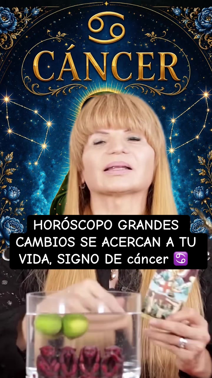 @✨ORÁCULO 13 ✨