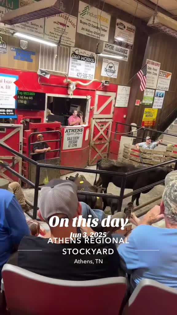 @tripleclivestock