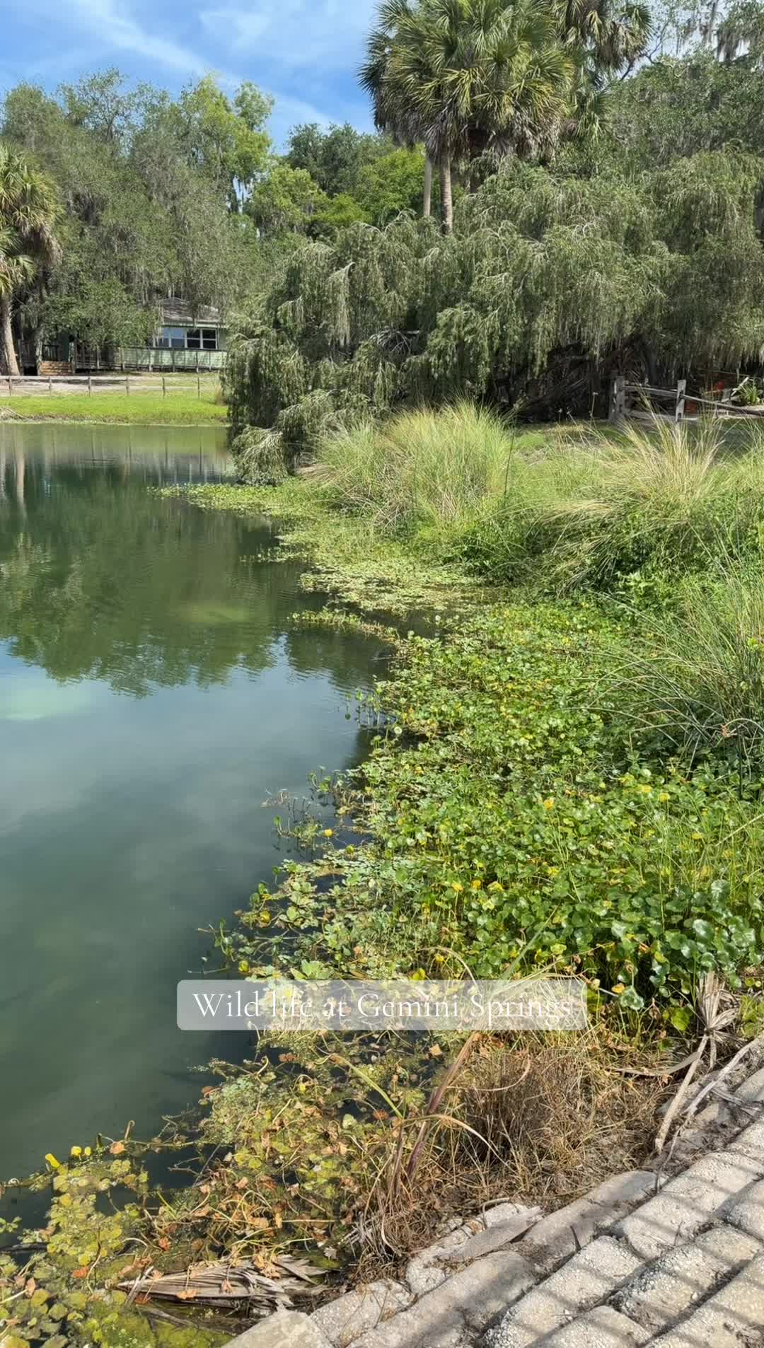 @adventureswithyesy