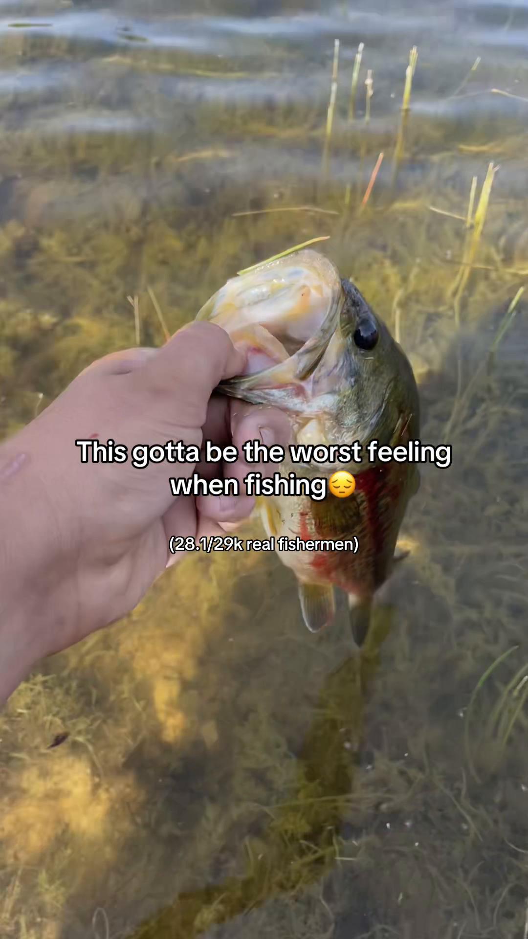 @fishingwithblake_