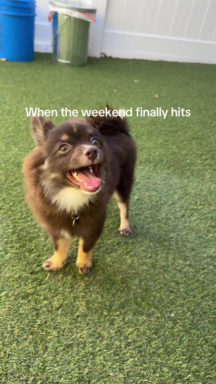 @cinnamoncloud_0