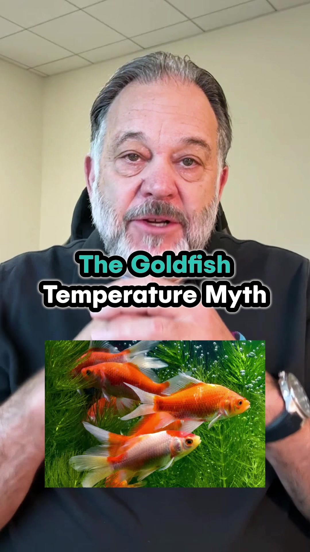 @DrTim