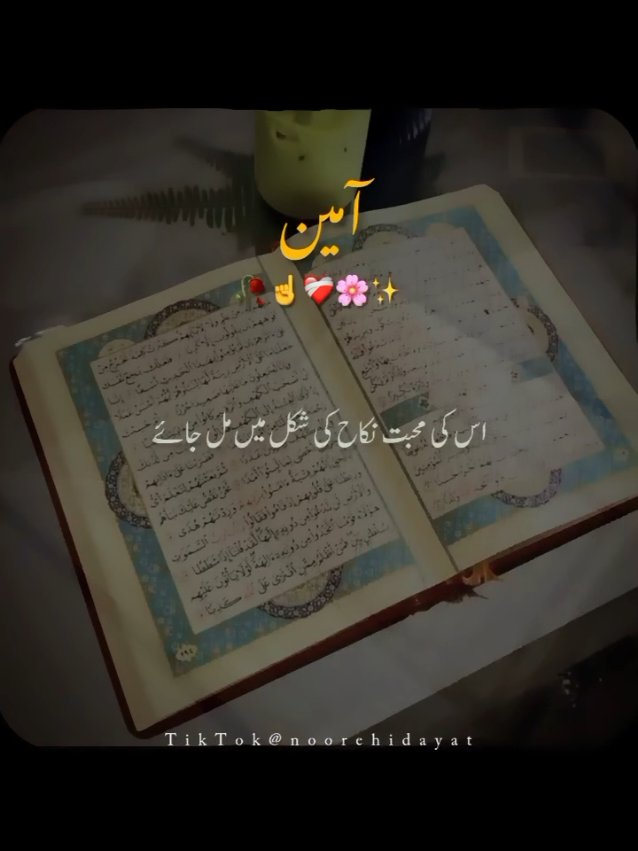 @Noor-e-Hidayat