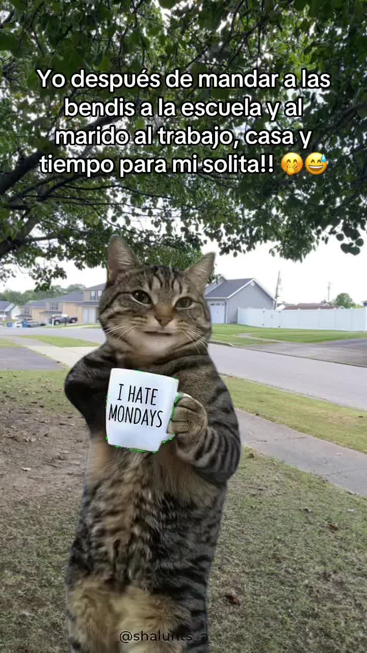 @Cinthya Sambrano