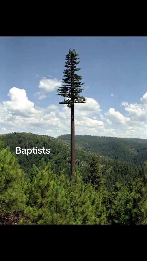 @YourCalvinist