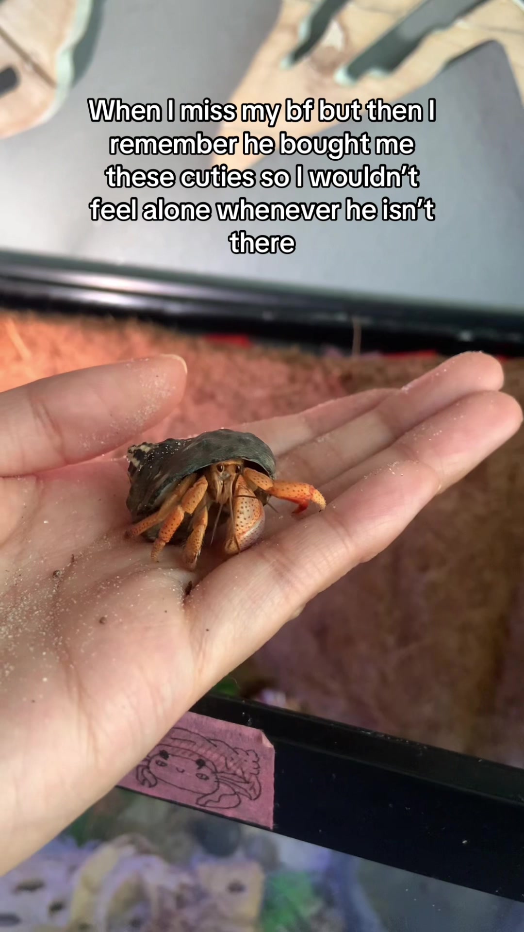 @Mimi