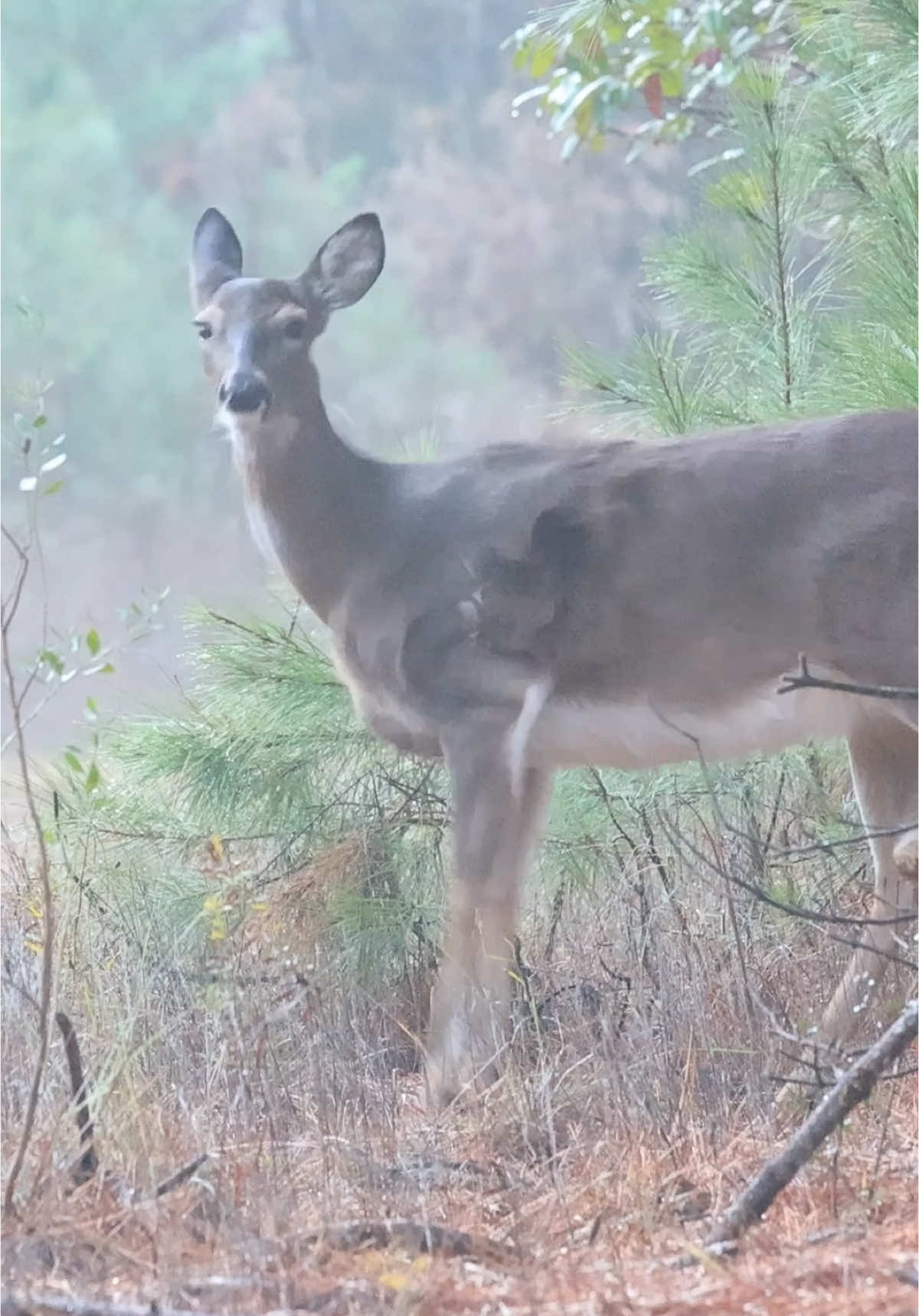 @HeadOutdoors