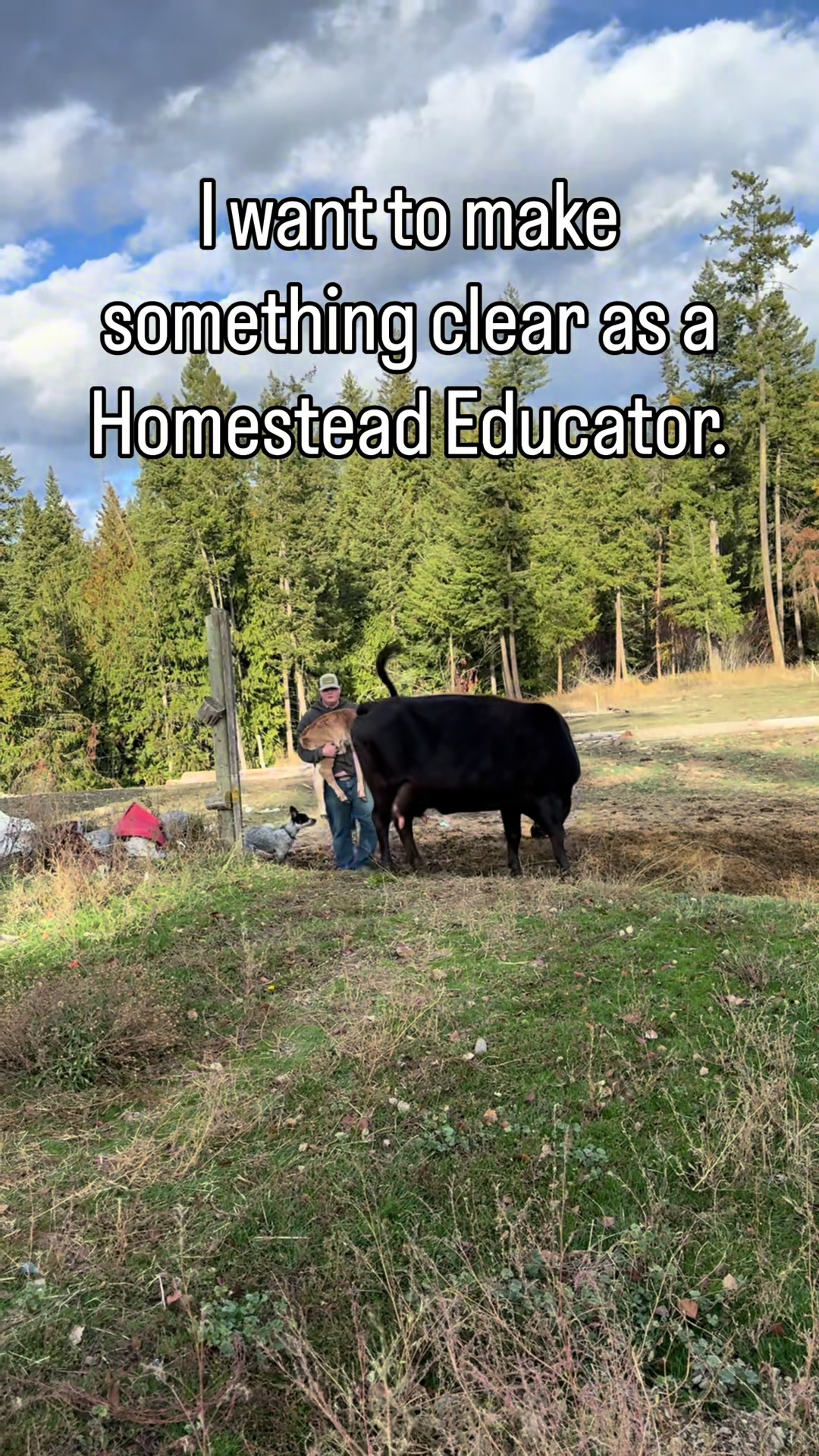 @thehomesteadeducation