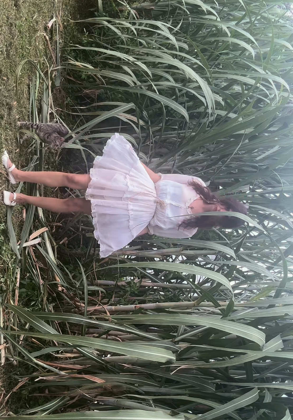 @True fairy jane