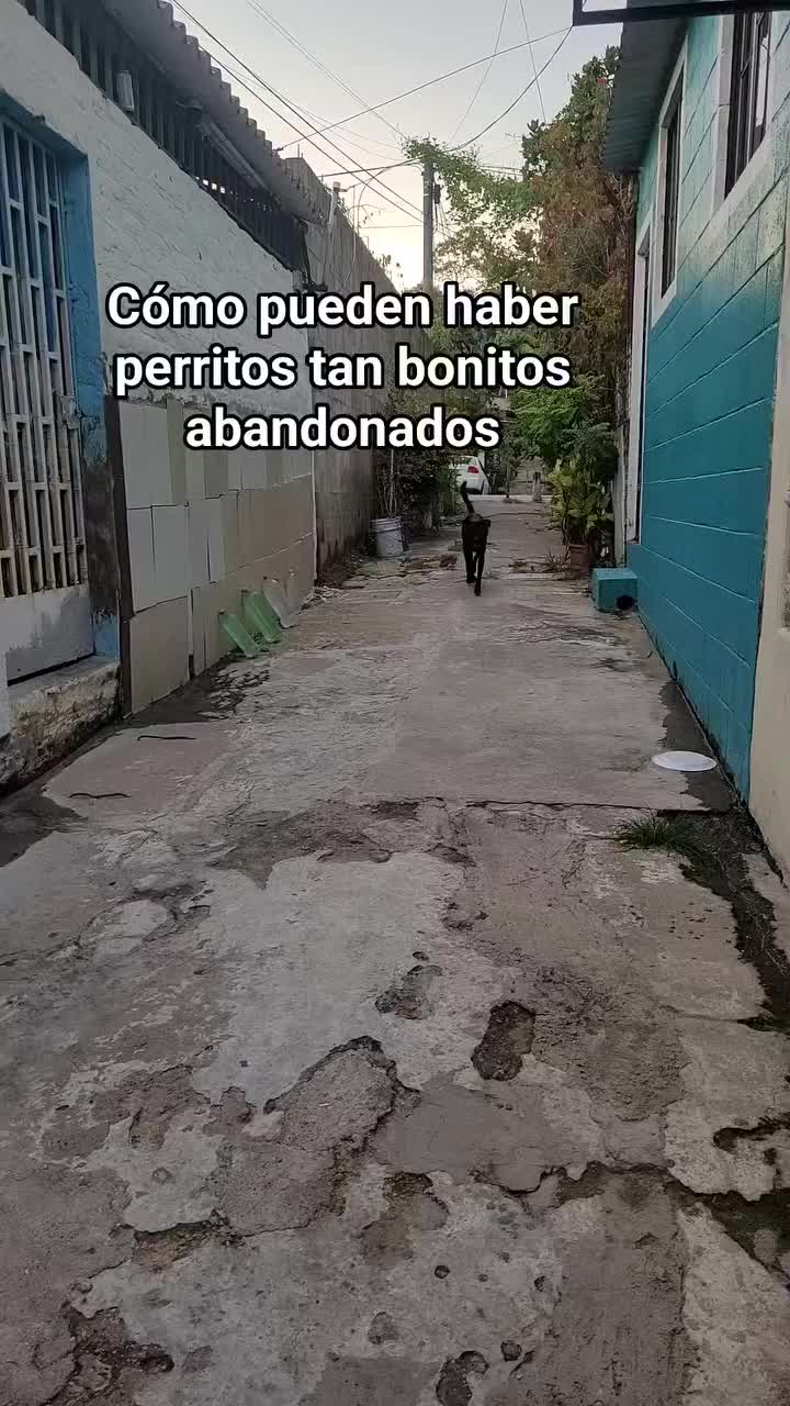 @𝕃𝕚𝕤𝕤 ℝ𝕖yes🇸🇻