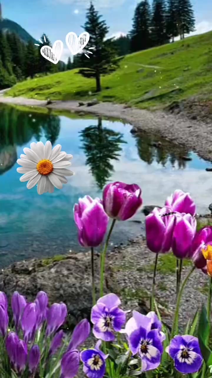 @reallerin451