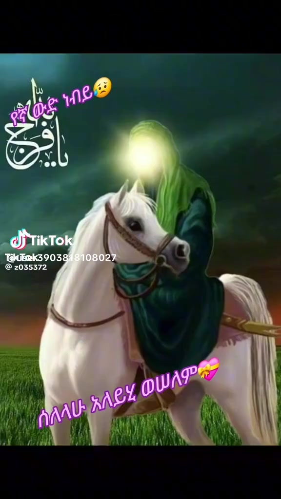 @tigita