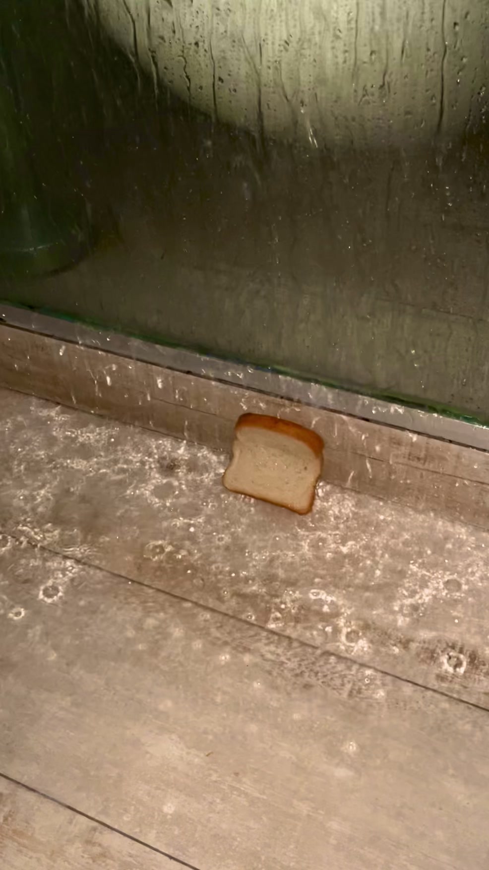 @Bread