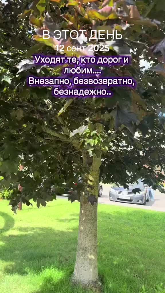 @Елена🇧🇾 Беларусь 🌺