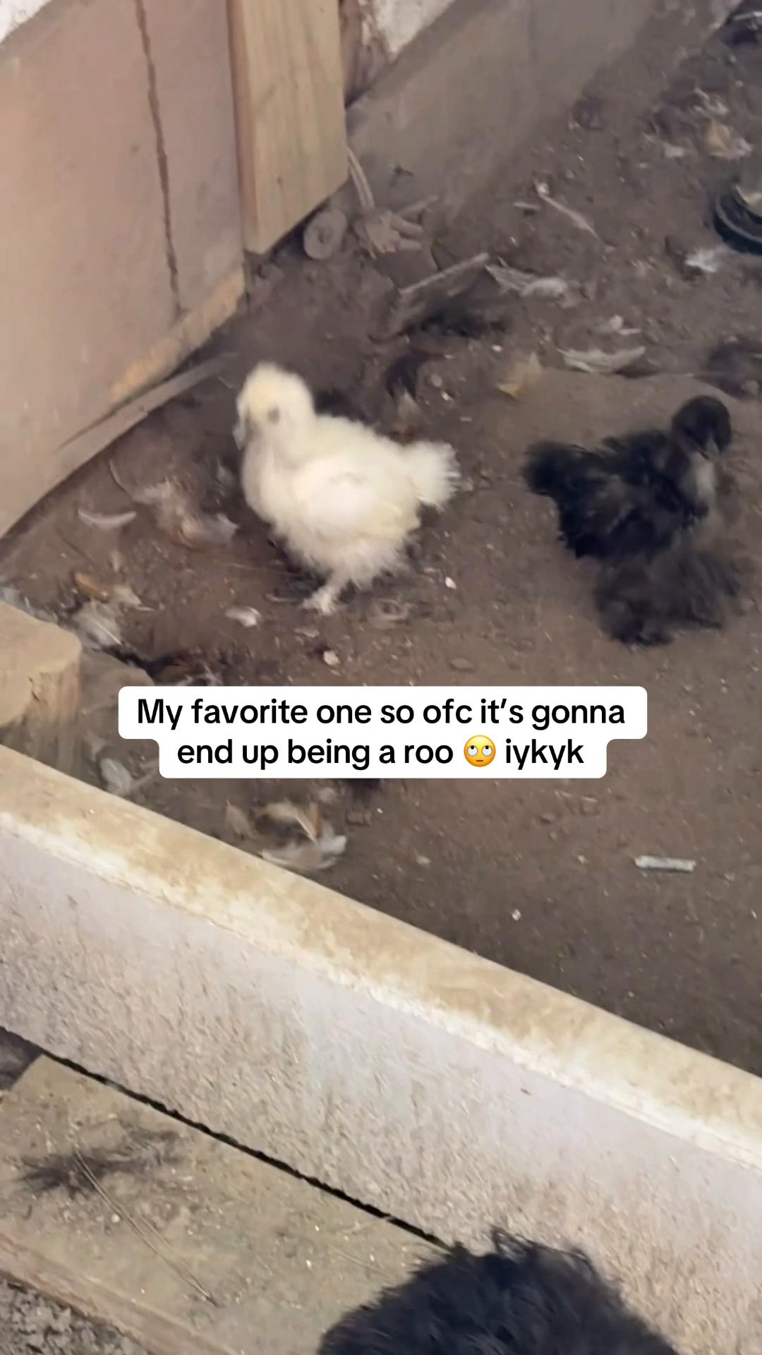 @mikayla_w01