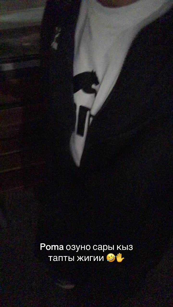 @Nasirdinov🦁