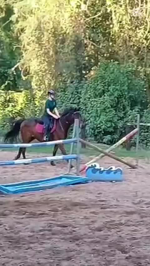 @equestrian