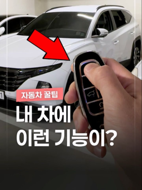 @짤컷