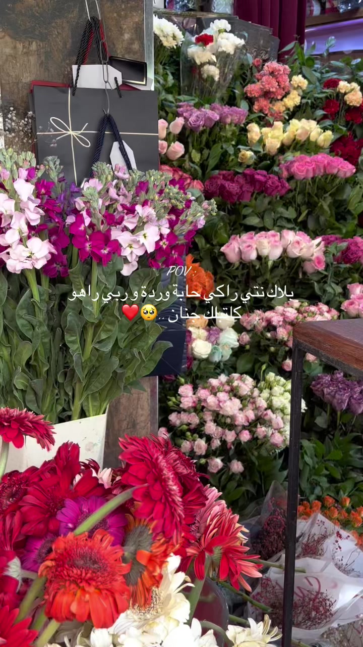 @marwa | مـَ🌙وة ✨