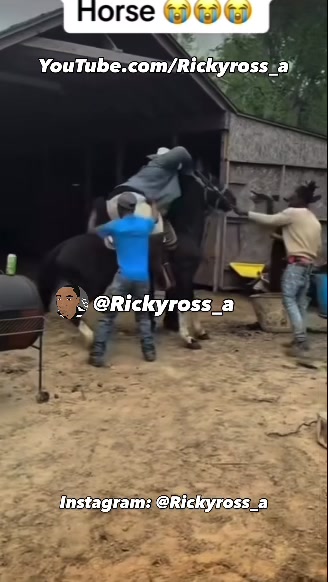 @Rickyross_a