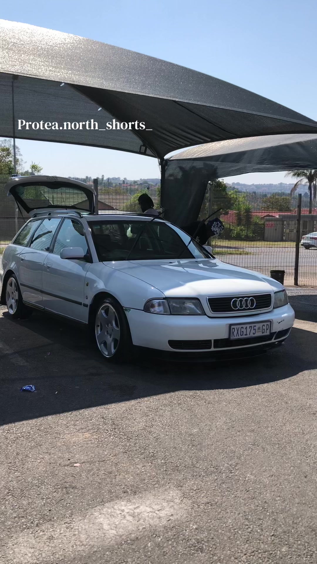 @Protea.north_shorts_