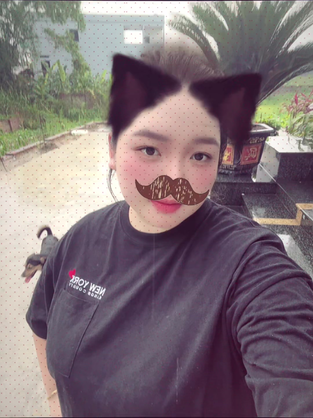 @Lê Hải Hà