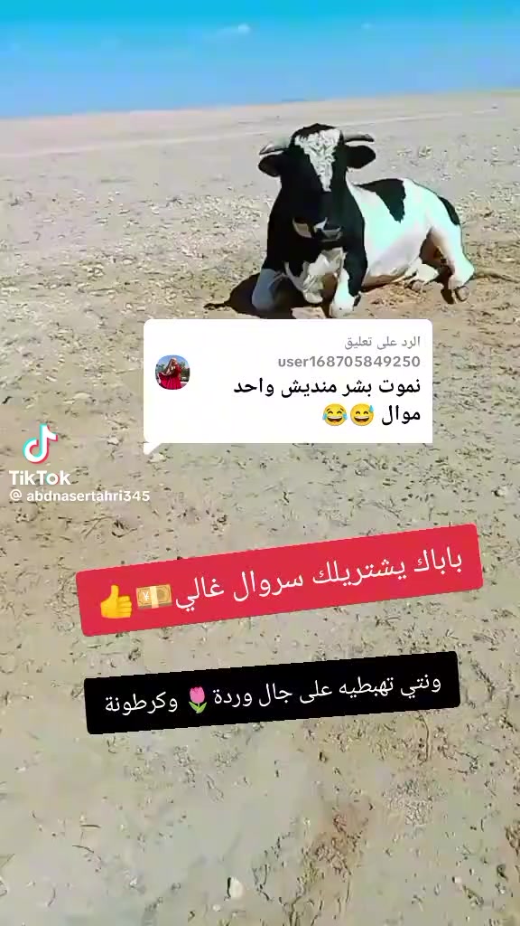 @ادم ادم