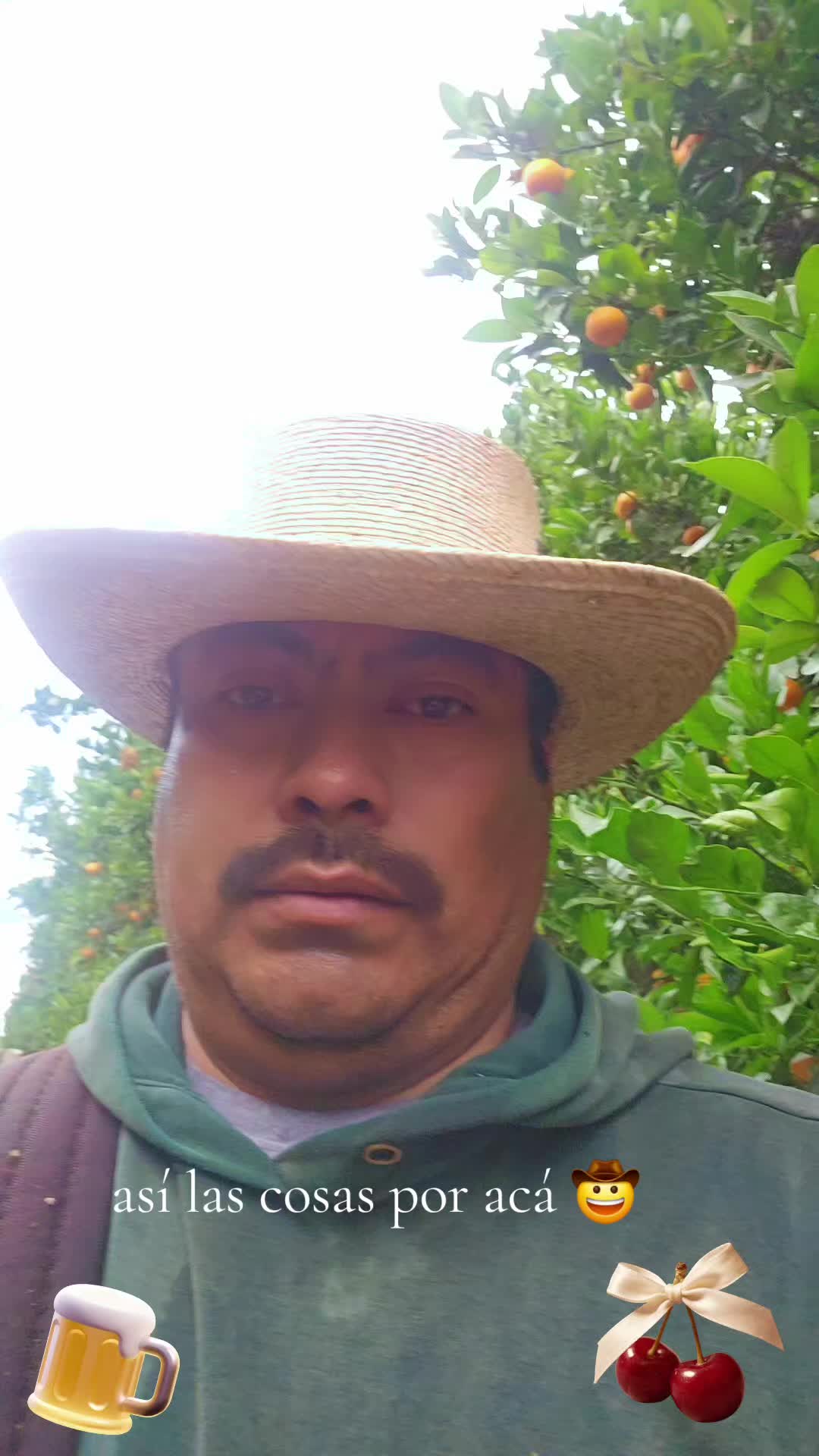 @fulgencio🤠