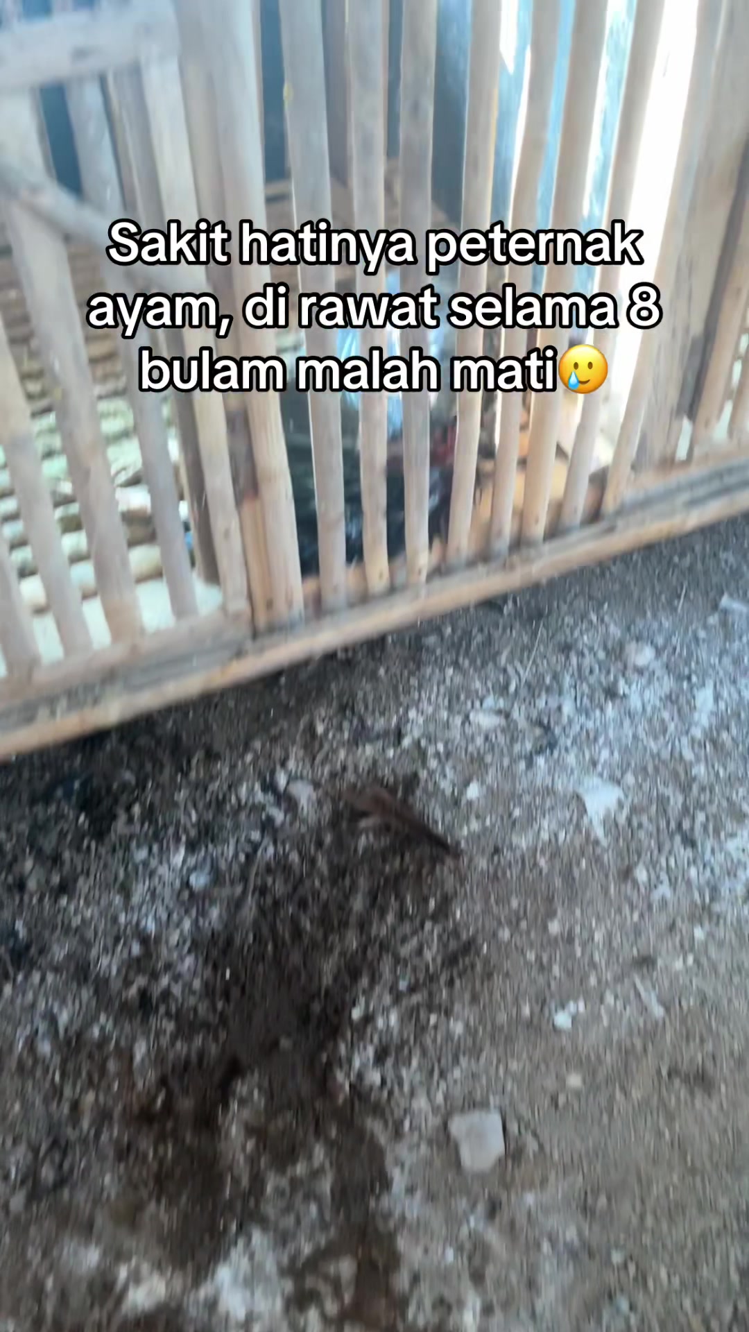 @Arive_BE