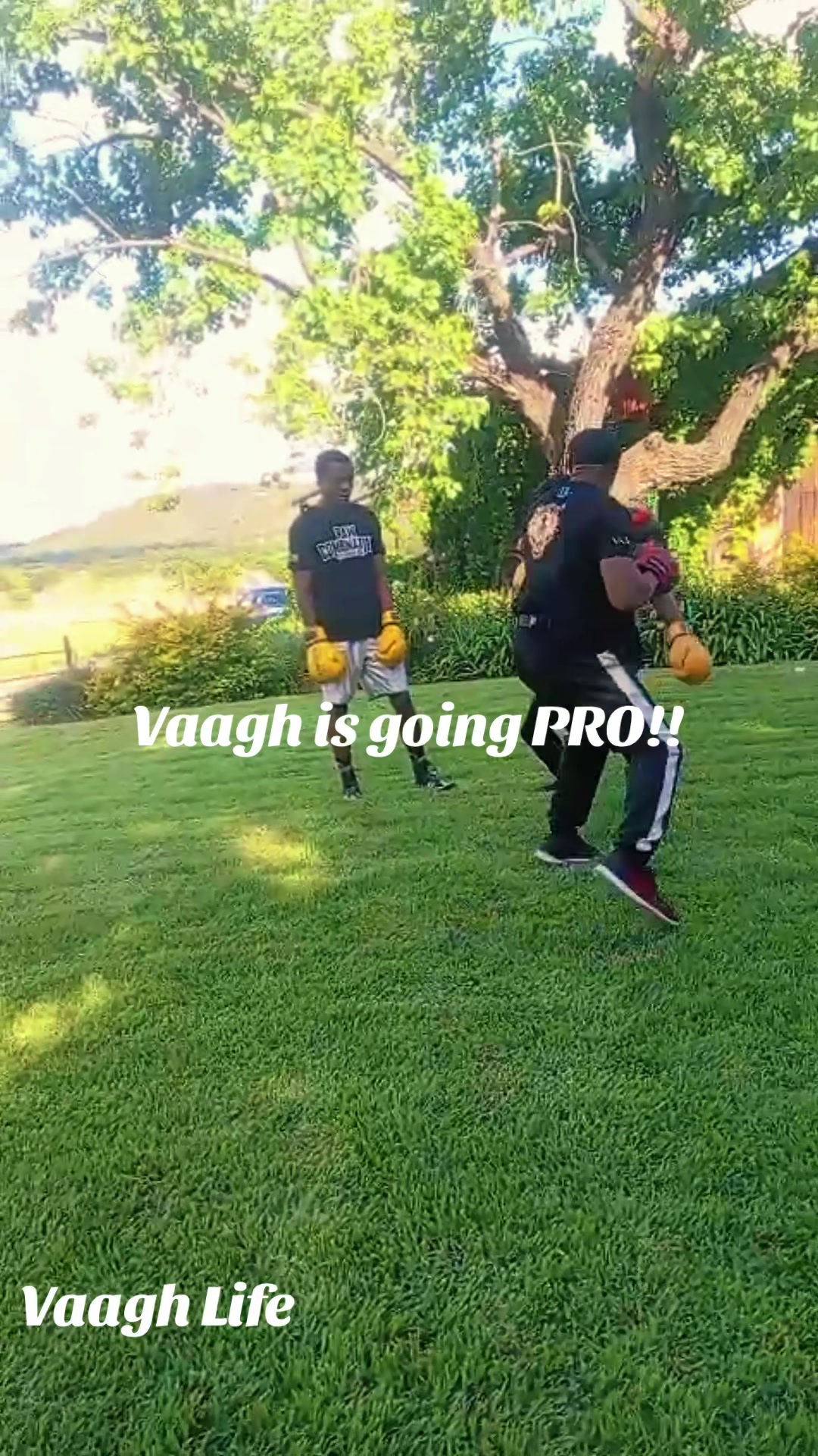 @vaaghlife