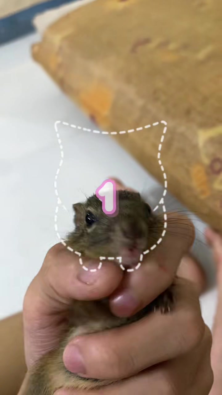 @dangvothanhgiau