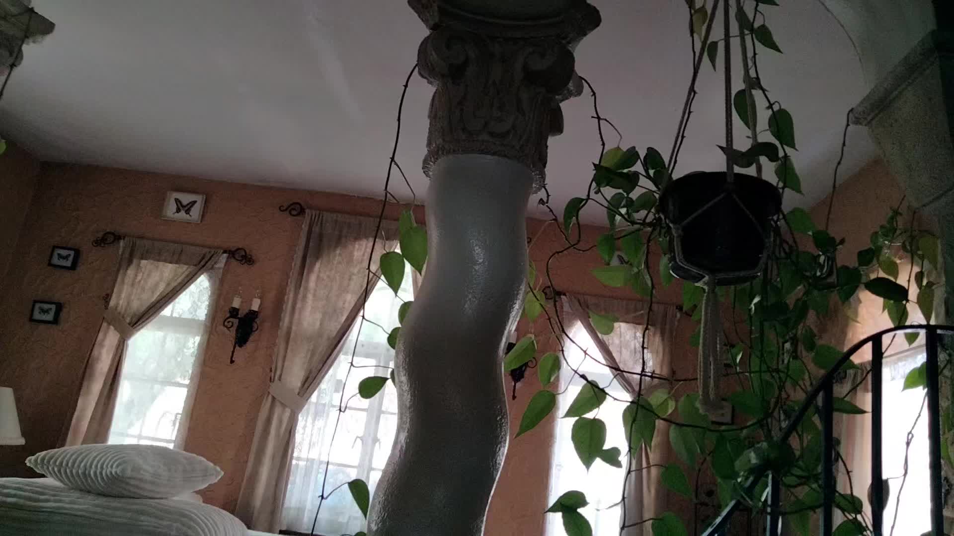 @donjackson978